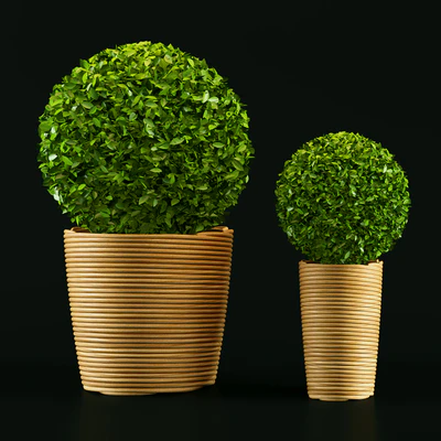 plant — Вид 1