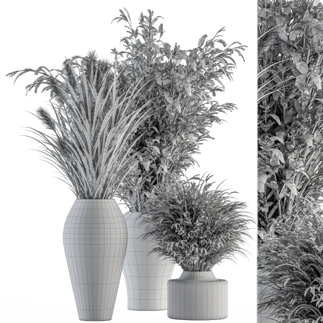 Dry plants 81 - Dried Plants Set — Descargar