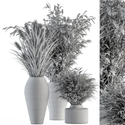 Dry plants 81 - Dried Plants Set — Ver 3