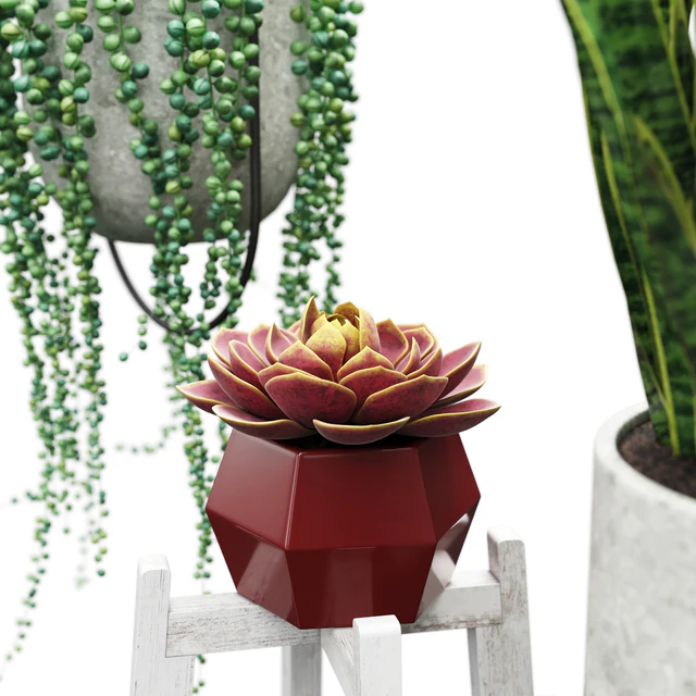 Plant set 2 — Скачать
