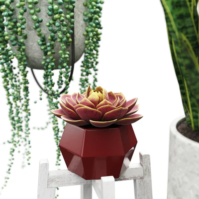 Plant set 2 — Вид 3