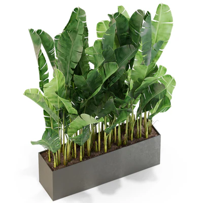 Plants collection 444 — Ver 3