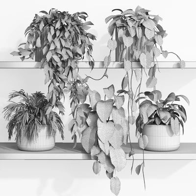plants on shelf 17 — Вид 3