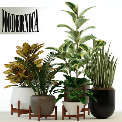 Plants collection 75 Modernica pots — Вид 1