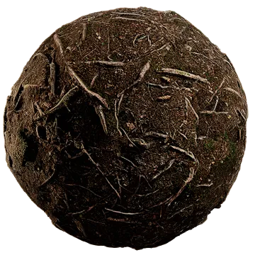 nordic forest ground roots coarse 001 — Скачать