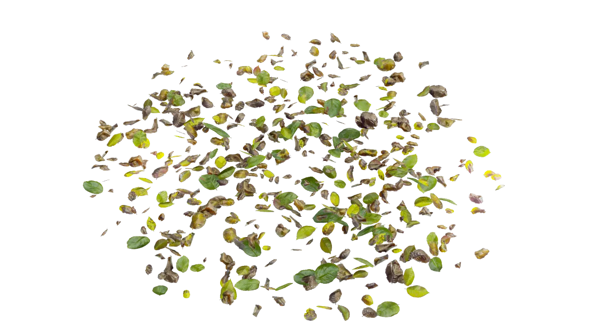 dead leaves 004 — Descargar