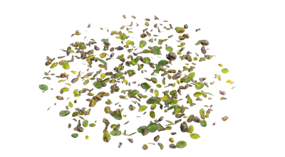 dead leaves 004 — Descargar