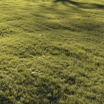 Grass and Flower — Вид 1