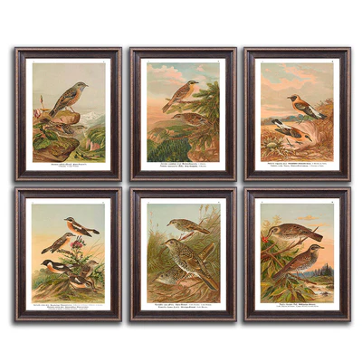 Paintings 460 — Ver 1