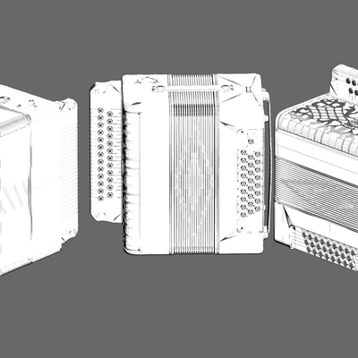 accordion Shuiskaya "Lady" — Ver 4