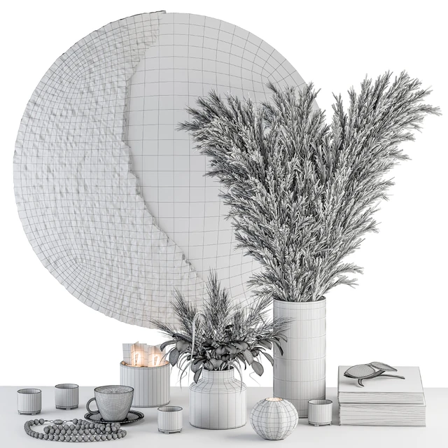 Decorative Set moon mirror with Dried Plant - Set 100 — Descargar