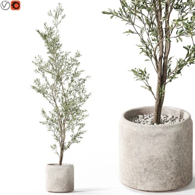 Plants collection 1050 — download