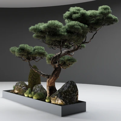 Декор с сосной Vray — Вид 6