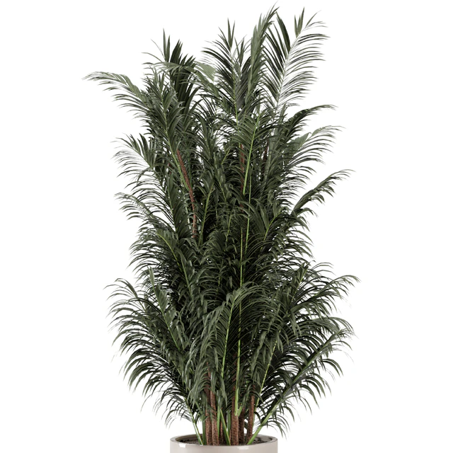 Indoor Plants  in rusty Concrete Pot - Set 352 — Скачать