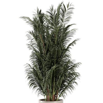 Indoor Plants  in rusty Concrete Pot - Set 352 — Вид 7