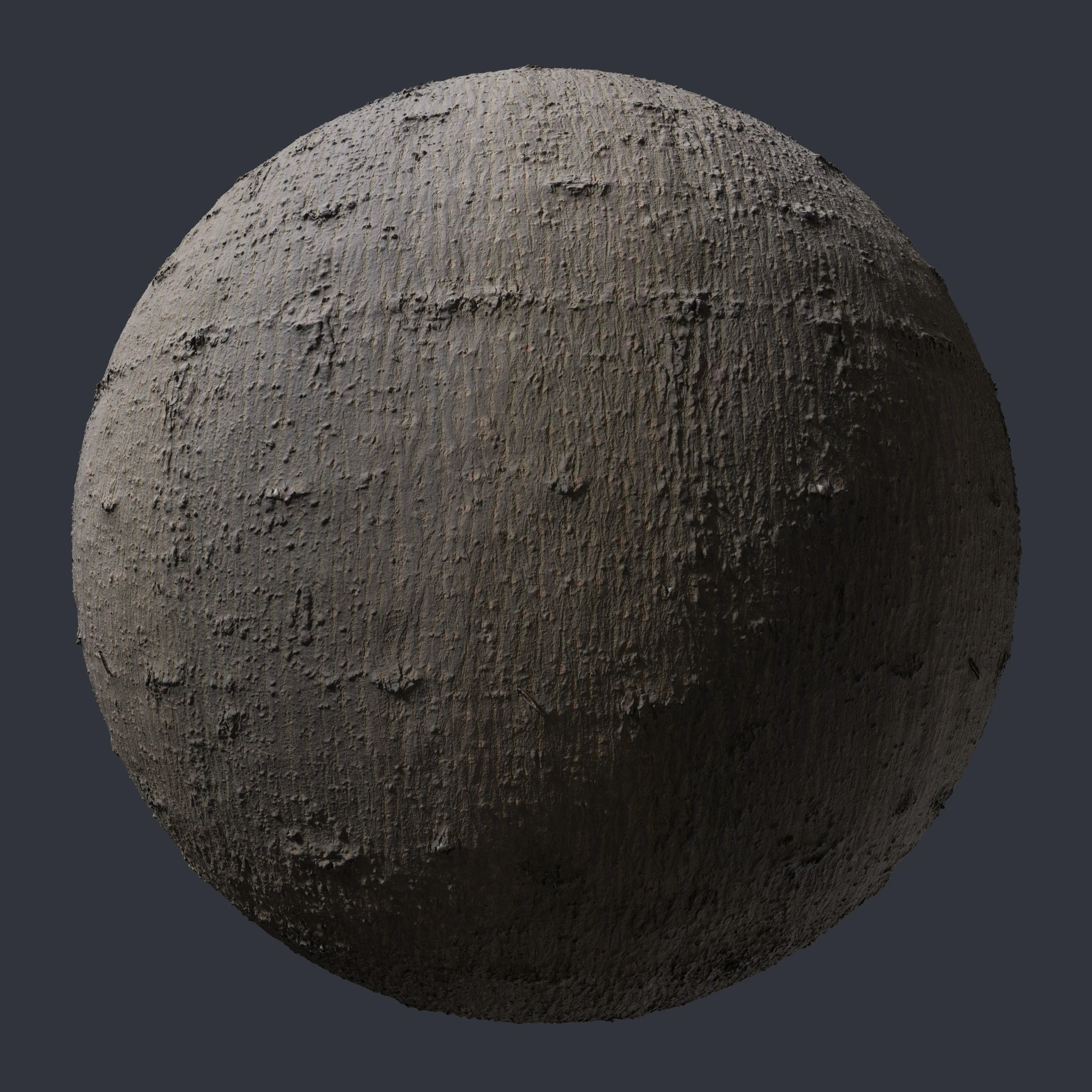 maple bark 003 — Скачать