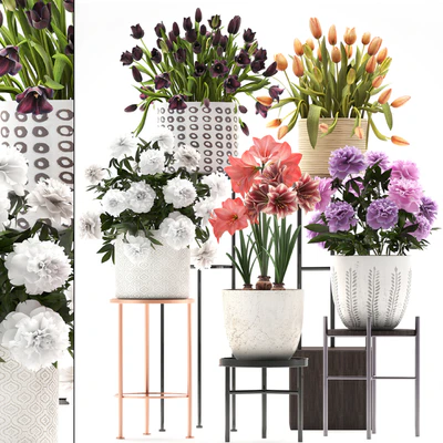 335 plant collection. Stand, Peony, Tulip, Hippeastrum, bouquet set, garden flowers, flower shelf, stand, Scandinavian style — View 1
