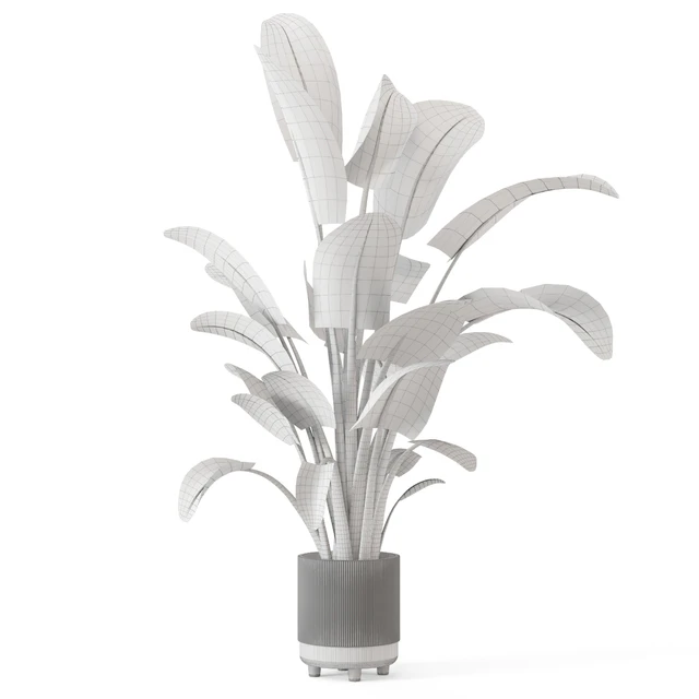 Indoor Plants  in rusty Concrete Pot - Set 582 — Скачать