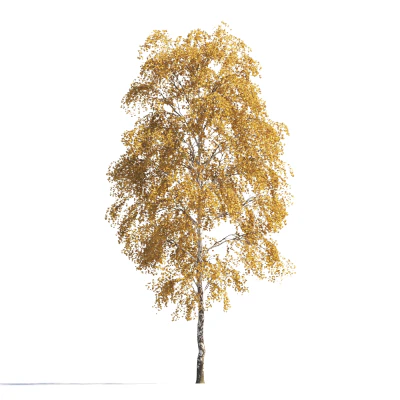 008 autumn — Descargar