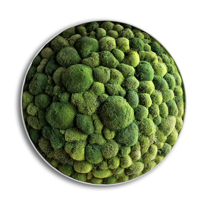 panel moss boulder — Ver 1