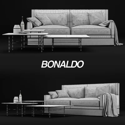 Bonaldo Paraiso and Bonaldo Fard — Ver 2