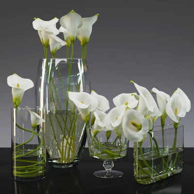 Calla Lily — Вид 1