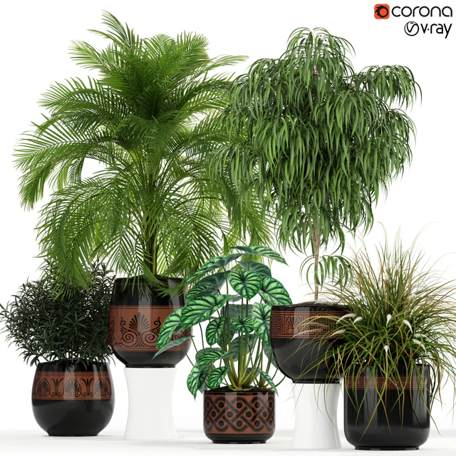 Plants collection 182 — Скачать