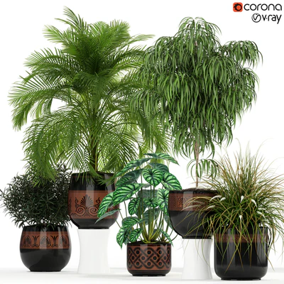 Plants collection 182 — Вид 1