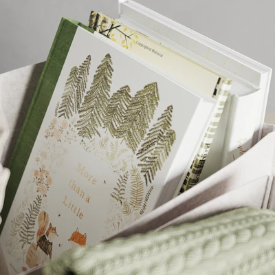Restoration Hardware Felt Storage Bin — Ver 5