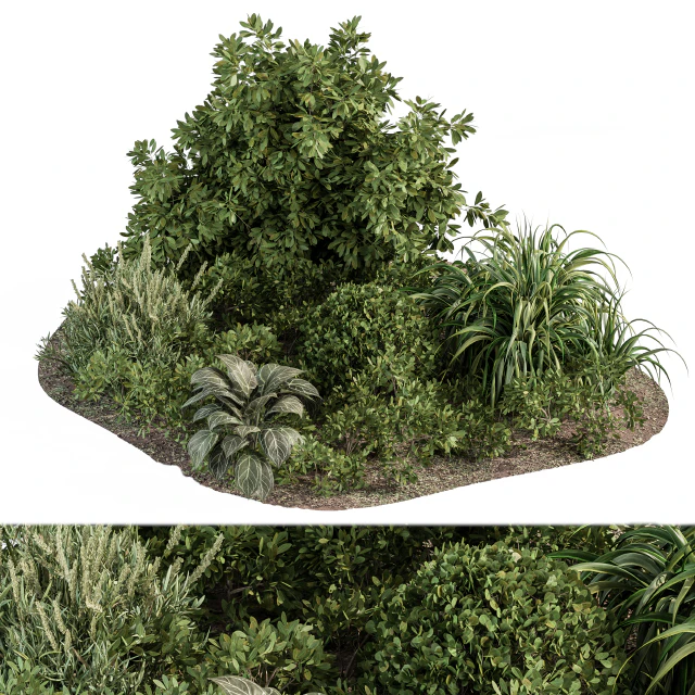 Garden set ivy and Bush - Garden Set 20 — Descargar
