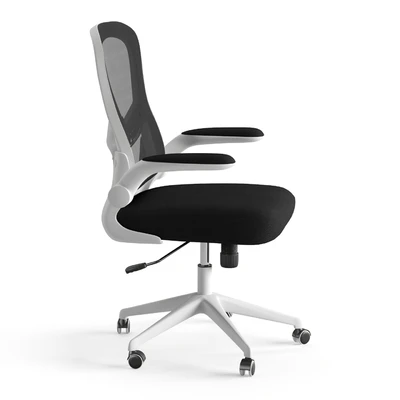 Xiaomi HBADA Ergonomic Double-Waisted Computer Chair HDNY163WM — Ver 6