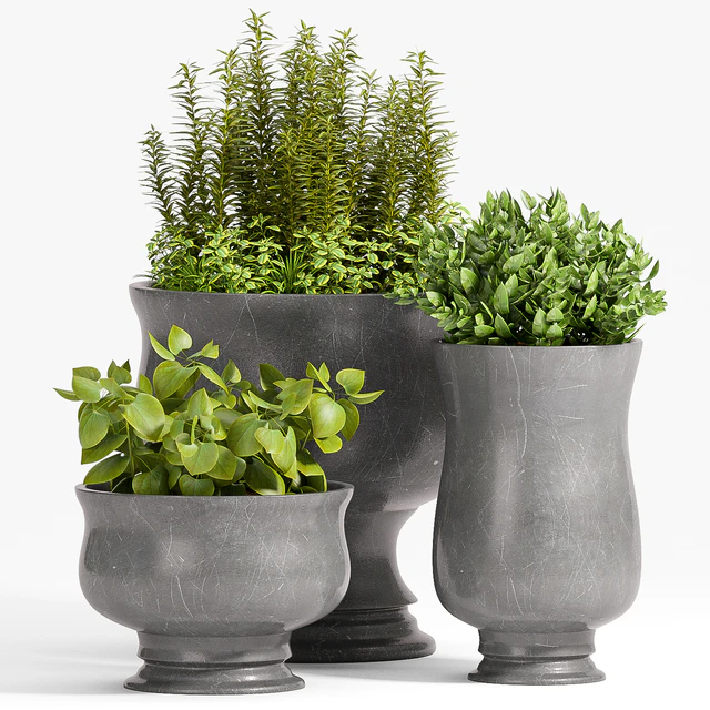 PLANT -45 — Скачать