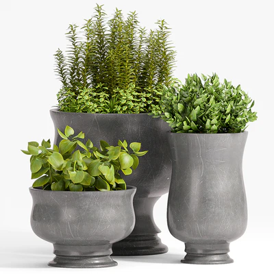 PLANT -45 — Вид 1