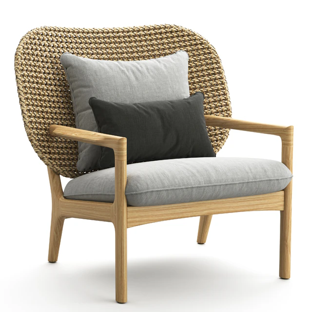 Kay Low Back Lounge Chair — Descargar