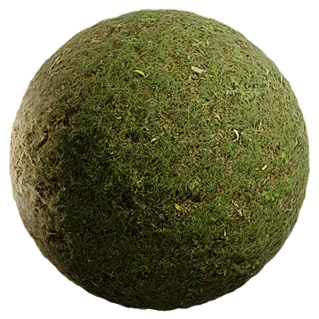 uncut grass 023 — Descargar