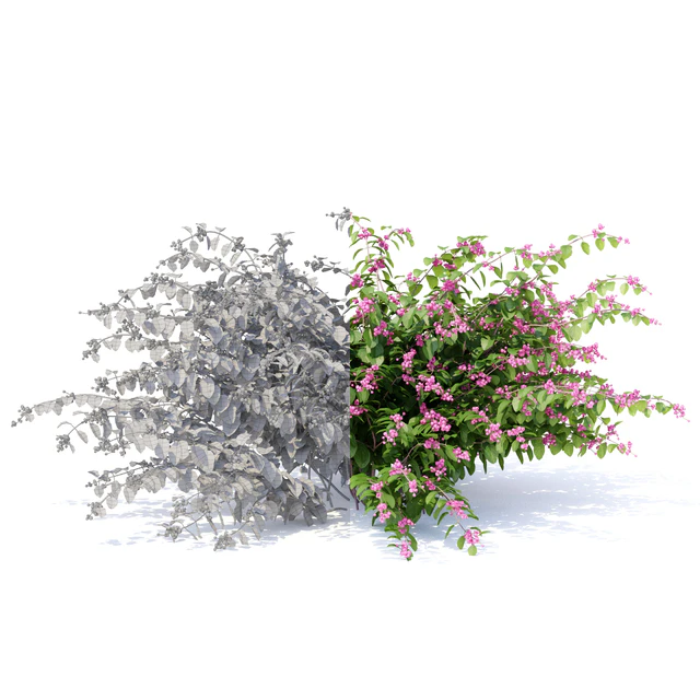 Снежноягодник доренбоза куст| Symphoricarpos doorenbosii — Скачать