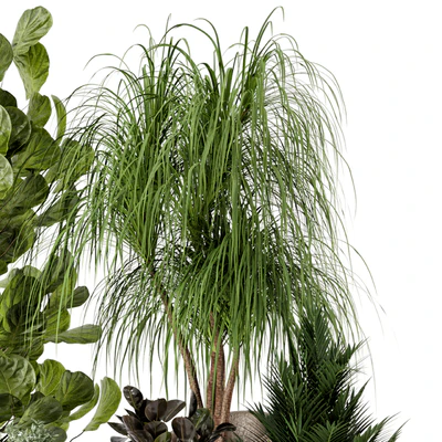 Indoor Plants in rusty Concrete Pot - Set 240 — Ver 6