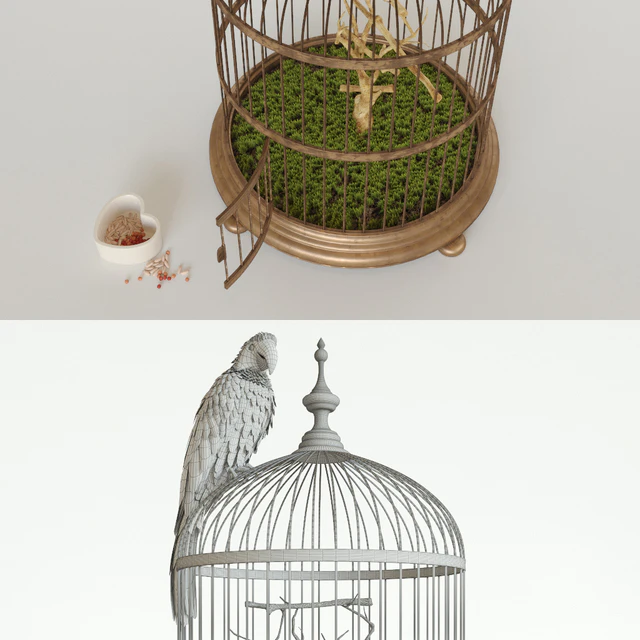 Parrot Ara — Скачать