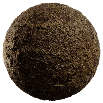 dried grass on damp soil 009 — Скачать