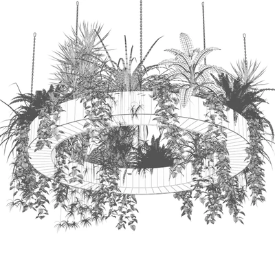 Indoor plants in a hanging ring planter — View 3
