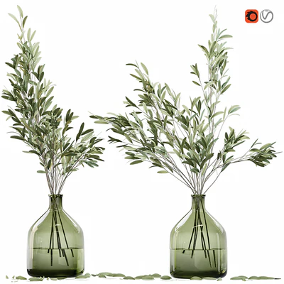 Olive stems in glass vase with water — Вид 1