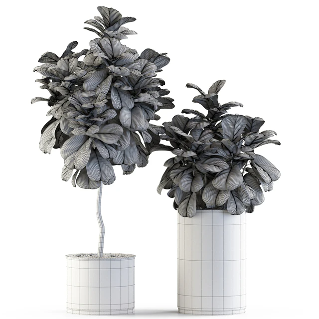 Plants collection 550 — Скачать