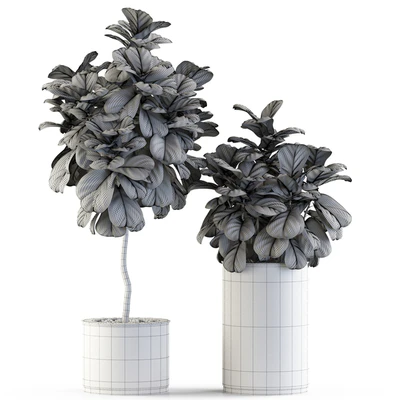 Plants collection 550 — Вид 5
