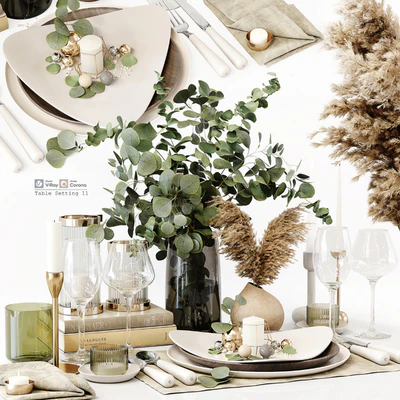 Table Setting 11 — Вид 1