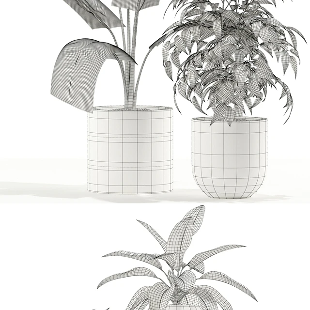 Plants collection 114 — Descargar