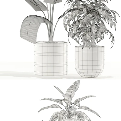 Plants collection 114 — Ver 2