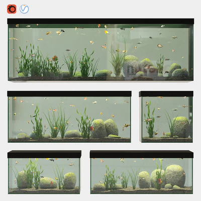 Aquarium set — Ver 1