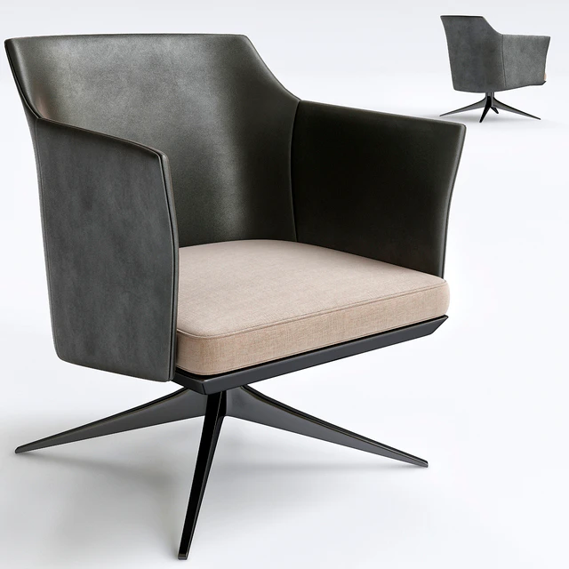 Poliform Stanford Lounge Armchair — Descargar