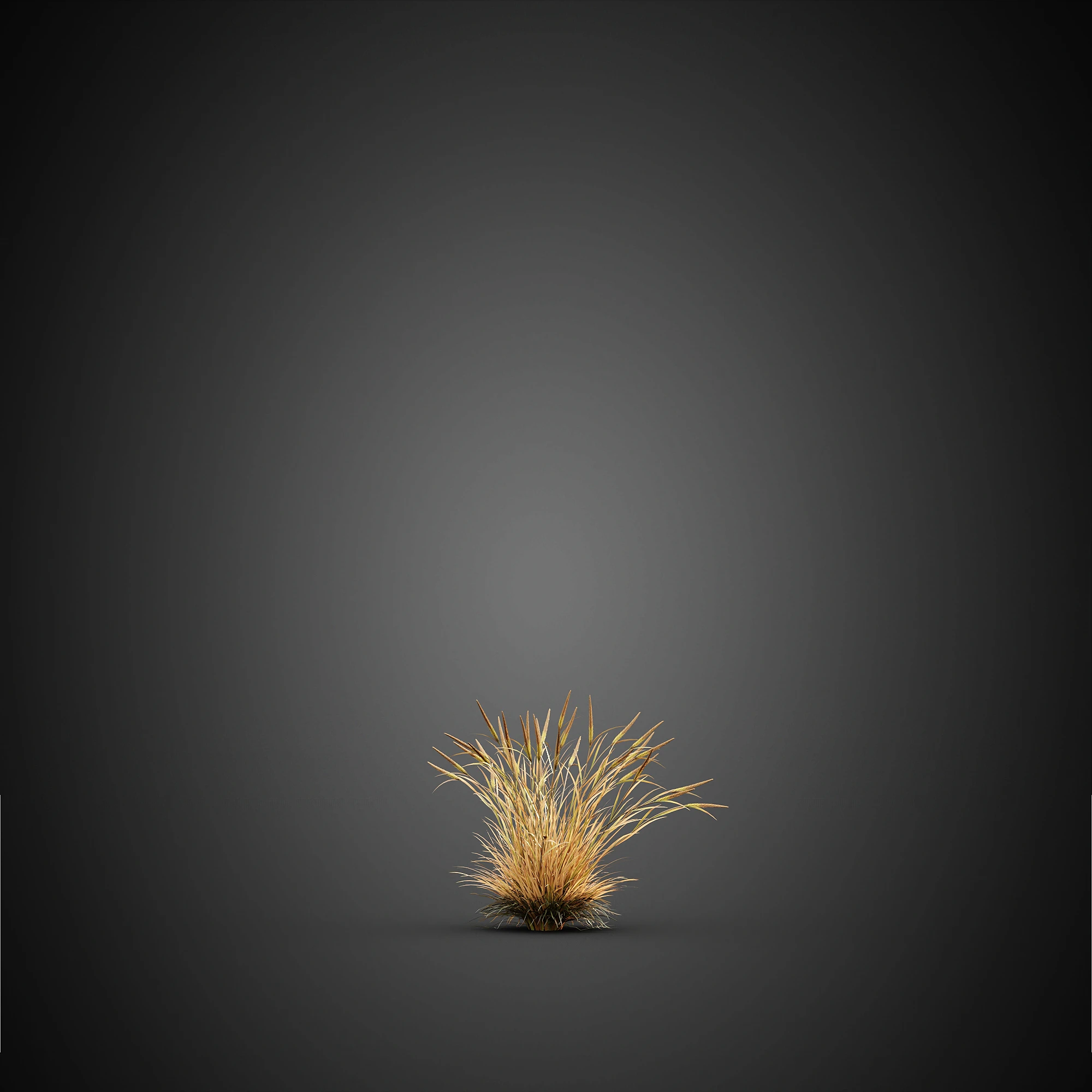 010 — Descargar