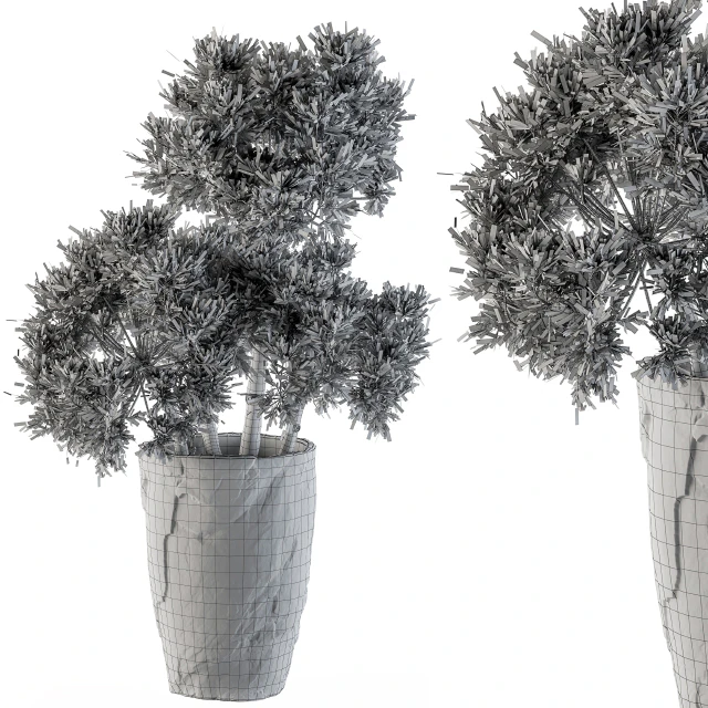 Dry plants 32 - Dried Plant — Скачать